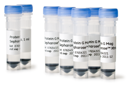 Protein G Mag Sepharose Xtra