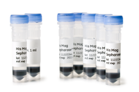 His Mag Sepharose Ni