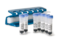 His Mag Sepharose Ni