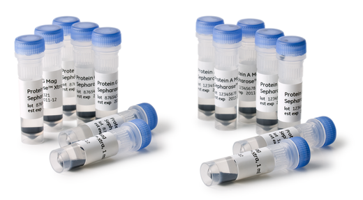 Protein A Mag Sepharose Xtra and Protein G Mag Sepharose Xtra