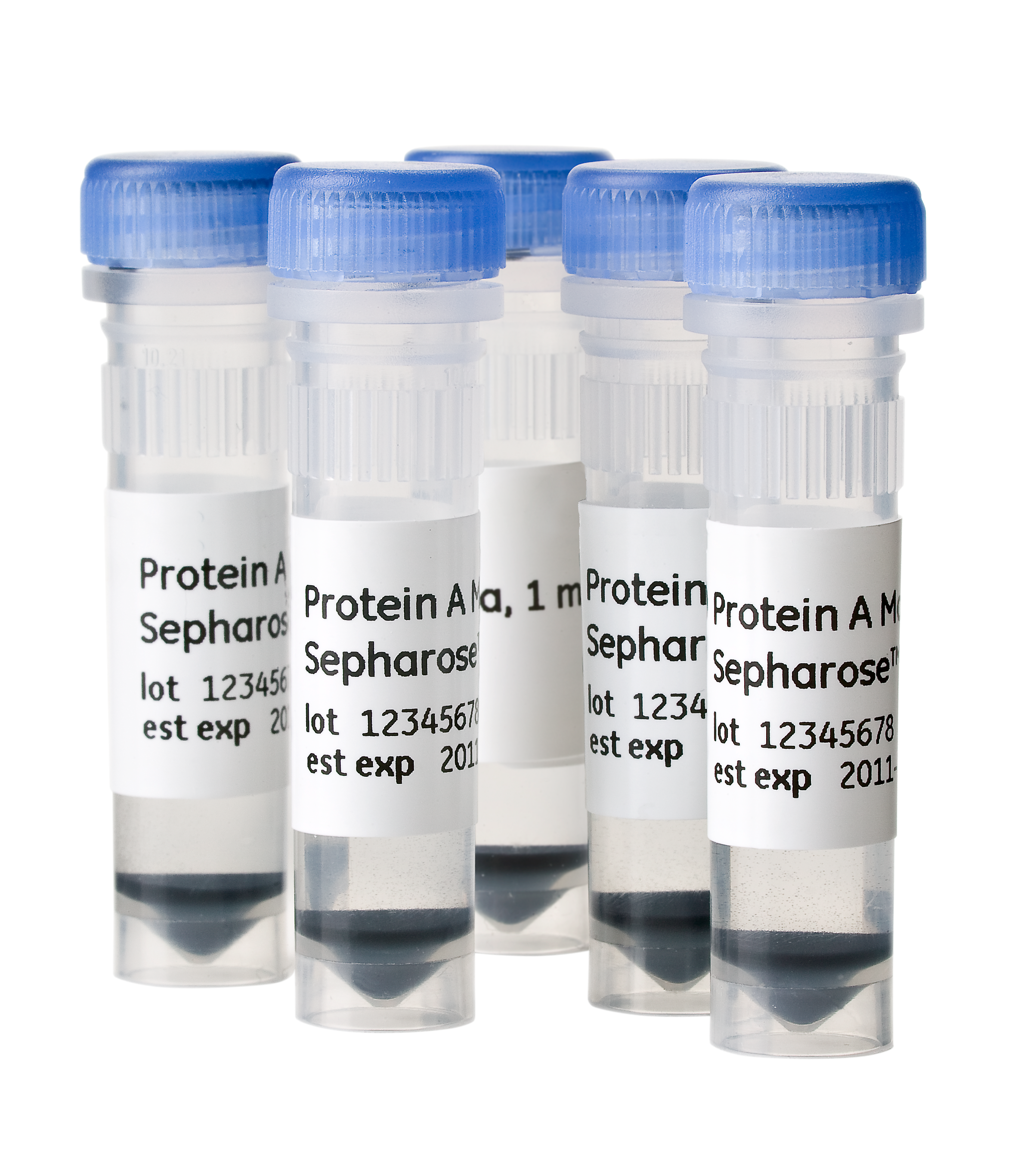 Protein A Mag Sepharose Xtra