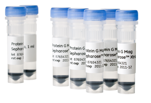 Protein G Mag Sepharose Xtra