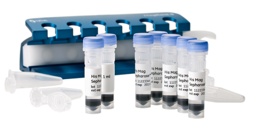 His Mag Sepharose Ni