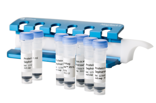 Protein A Mag Sepharose Xtra and MagRack