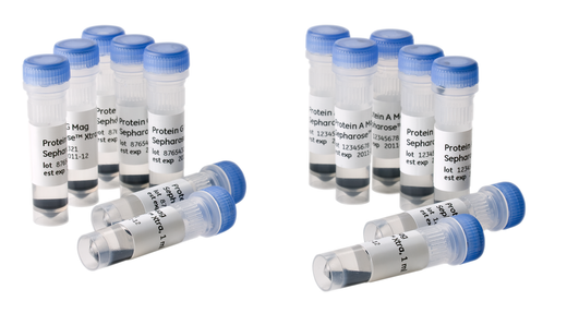 Protein A Mag Sepharose Xtra and Protein G Mag Sepharose Xtra