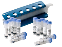 Protein A Mag Sepharose Xtra,Protein G Mag Sepharose Xtra and MagRack