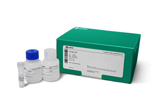 illustra TempliPhi 2000 Reaction Kit 28964286