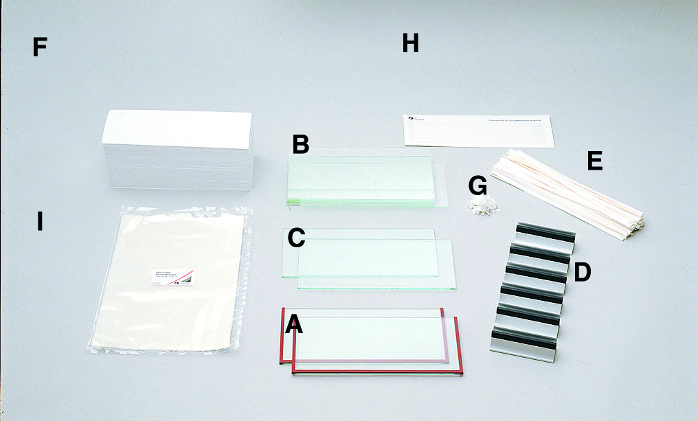 SDS & Native PAGE, IEF Kit
