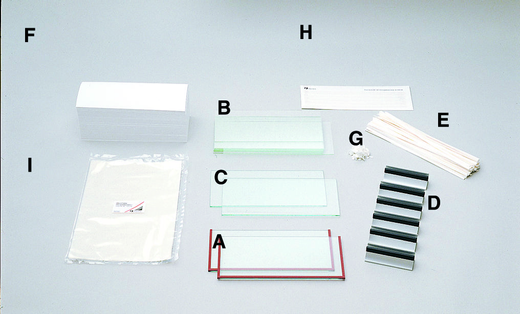 SDS & Native PAGE, IEF Kit