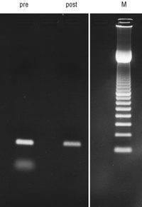 illustra MicroSpin S-300 HR s