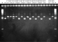 illustra MicroSpin G-25 s