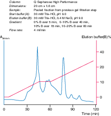 Q Sepharose High Performance