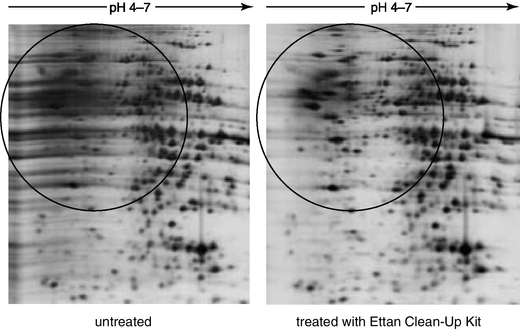2-D Clean-Up Kit gels