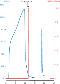 Purification of iminobiotinylated BSA