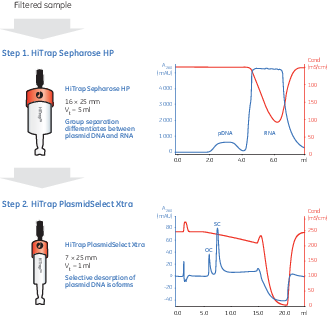 PlasmidSelect Xtra Screening Kit