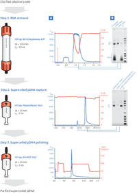 PlasmidSelect Xtra Starter Kit