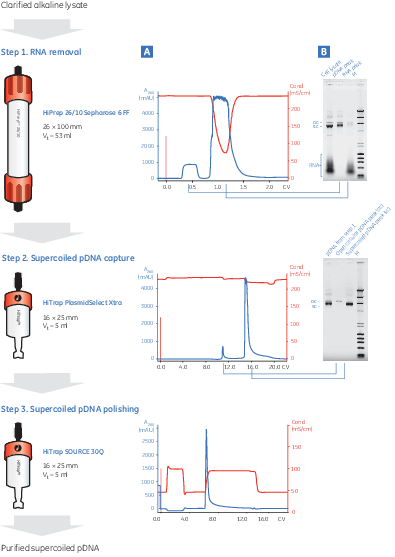 PlasmidSelect Xtra Starter Kit