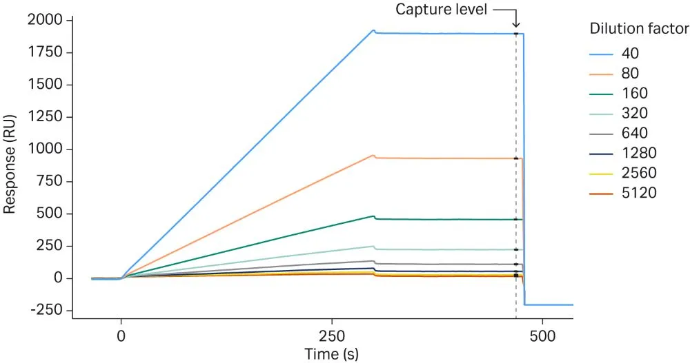 We describe how we used Biacore surface plasmon resonance (SPR) and Biacore cap-tag capture kit and Biacore regeneration kit CAP to rapidly characterize the binding of a nanobody to its protein target, without any prior knowledge of their interaction kinetics.