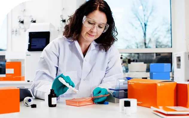 7 steps to western blotting