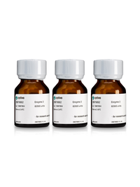 Enzymatic mix for brain tissue - three bottles