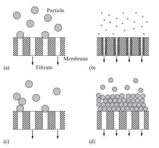 Schematic view of four fouling patterns in blocking filtration laws