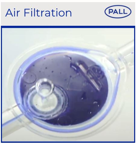 Mechanisms of air filtration