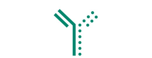 Bispecific antibody icon