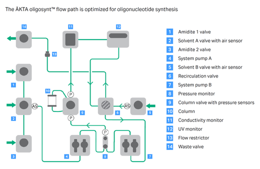 ÄKTA oligosynt™ flow path diagram image