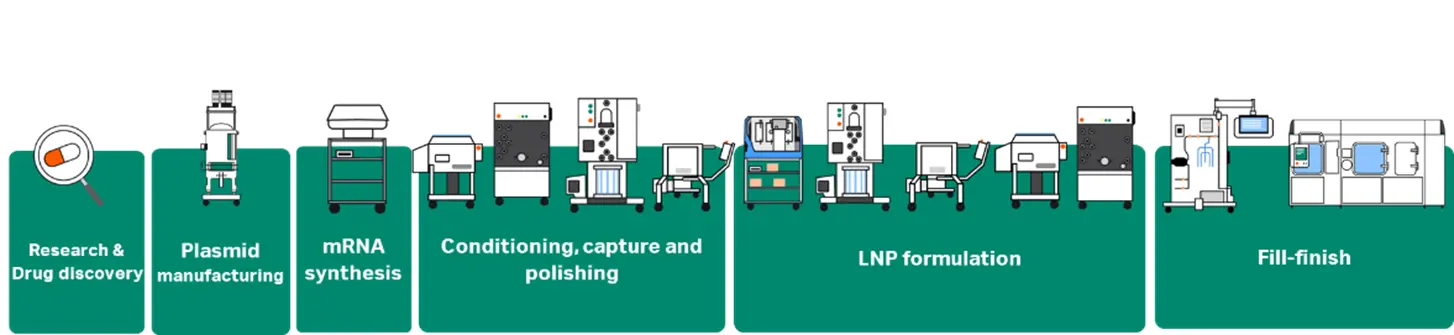 Overview of the mRNA manufacturing process.