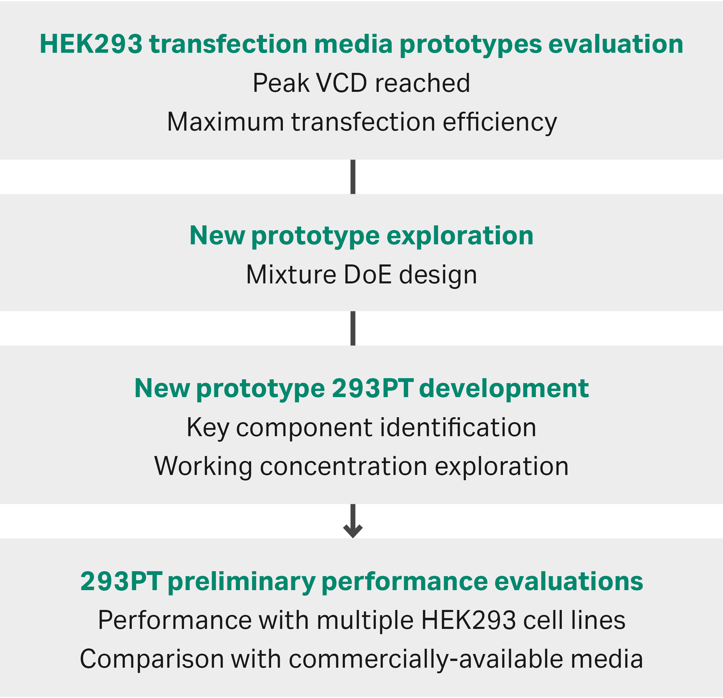 New transfection medium 293PT development workflow overview