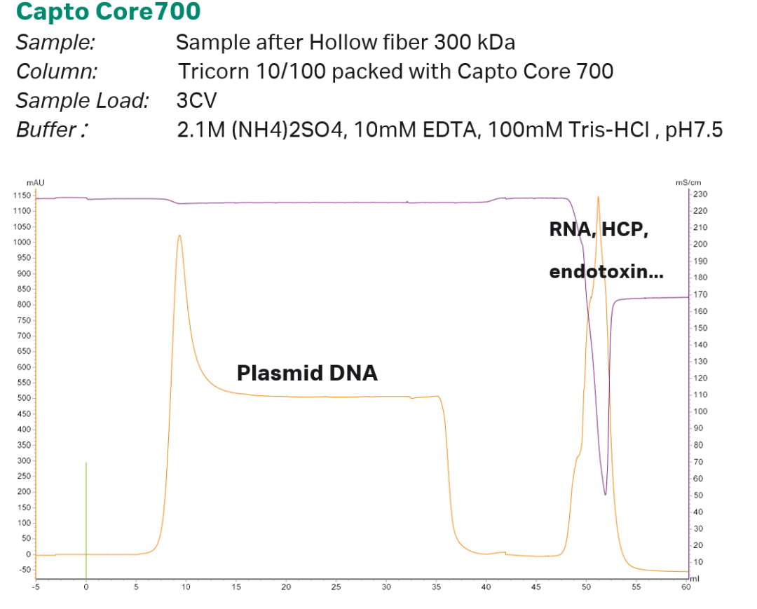 图2  Capto Core 700层析实验参数与层析图谱