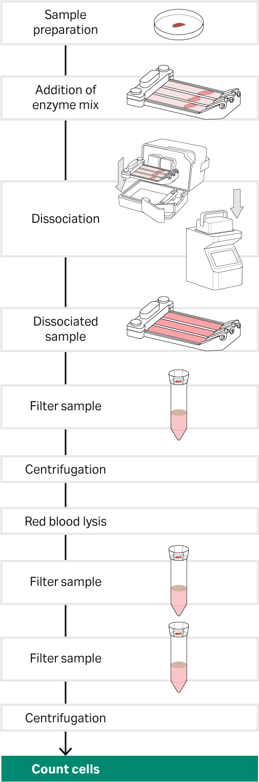 Tissue dissociation workflow for the Cytiva kit with the VIA Extractor tissue disaggregator