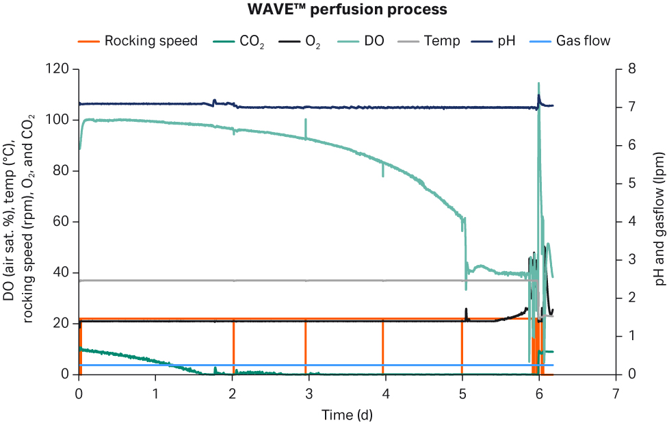 Process parameters during perfusion process in WAVE™ bioreactor during cryobag generation.
