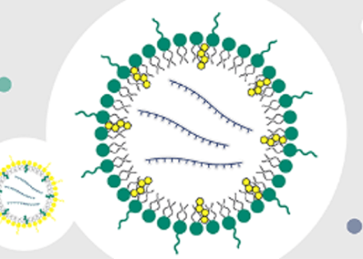 mRNA 信使 - IVT 反应面临哪些挑战