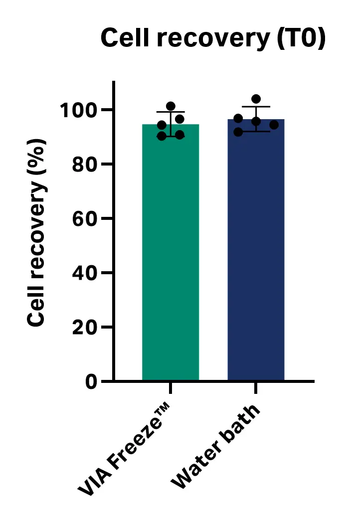 Graph showing cell recovery immediately post-thaw with VIA Freeze™ system and water bath