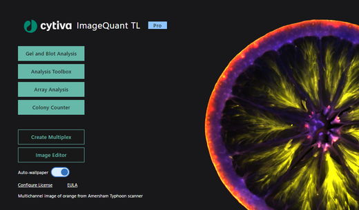 ImageQuant TL 11 software startscreean featuring the imaged orange