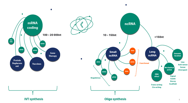 mRNA universe