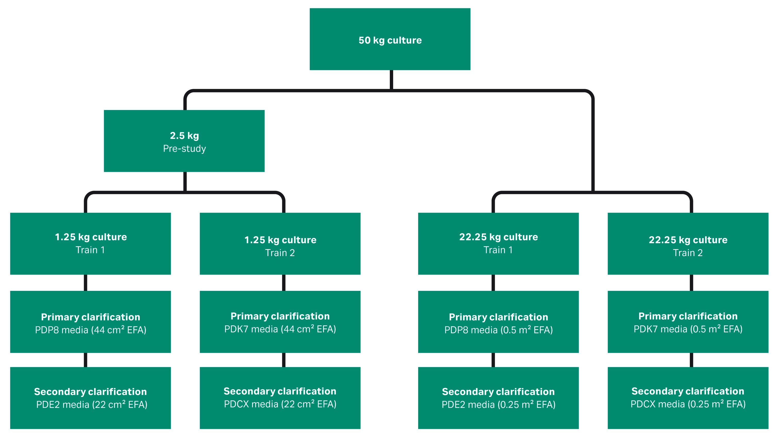 Depth filtration set up