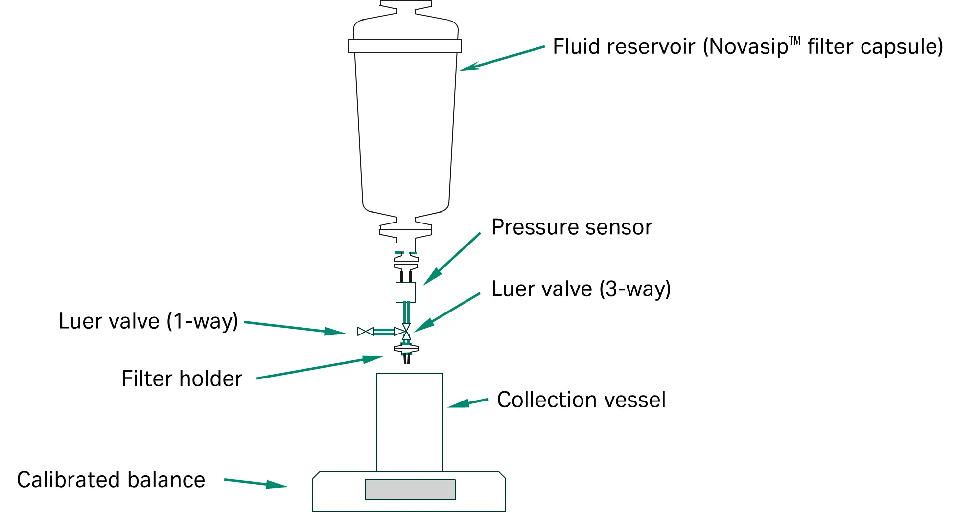 Setup for constant pressure filtration studies.