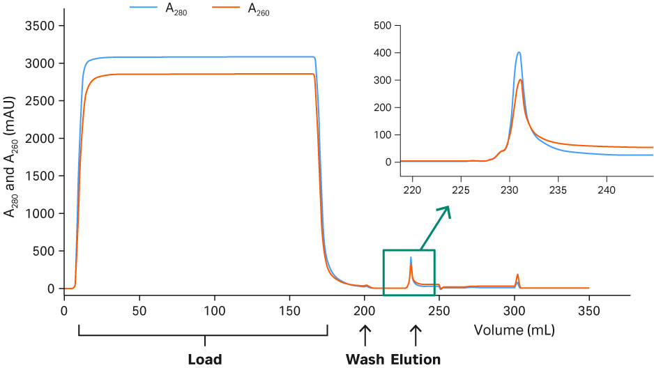 Chromatogram from the purification of rAAV2 on Capto™ AVB.