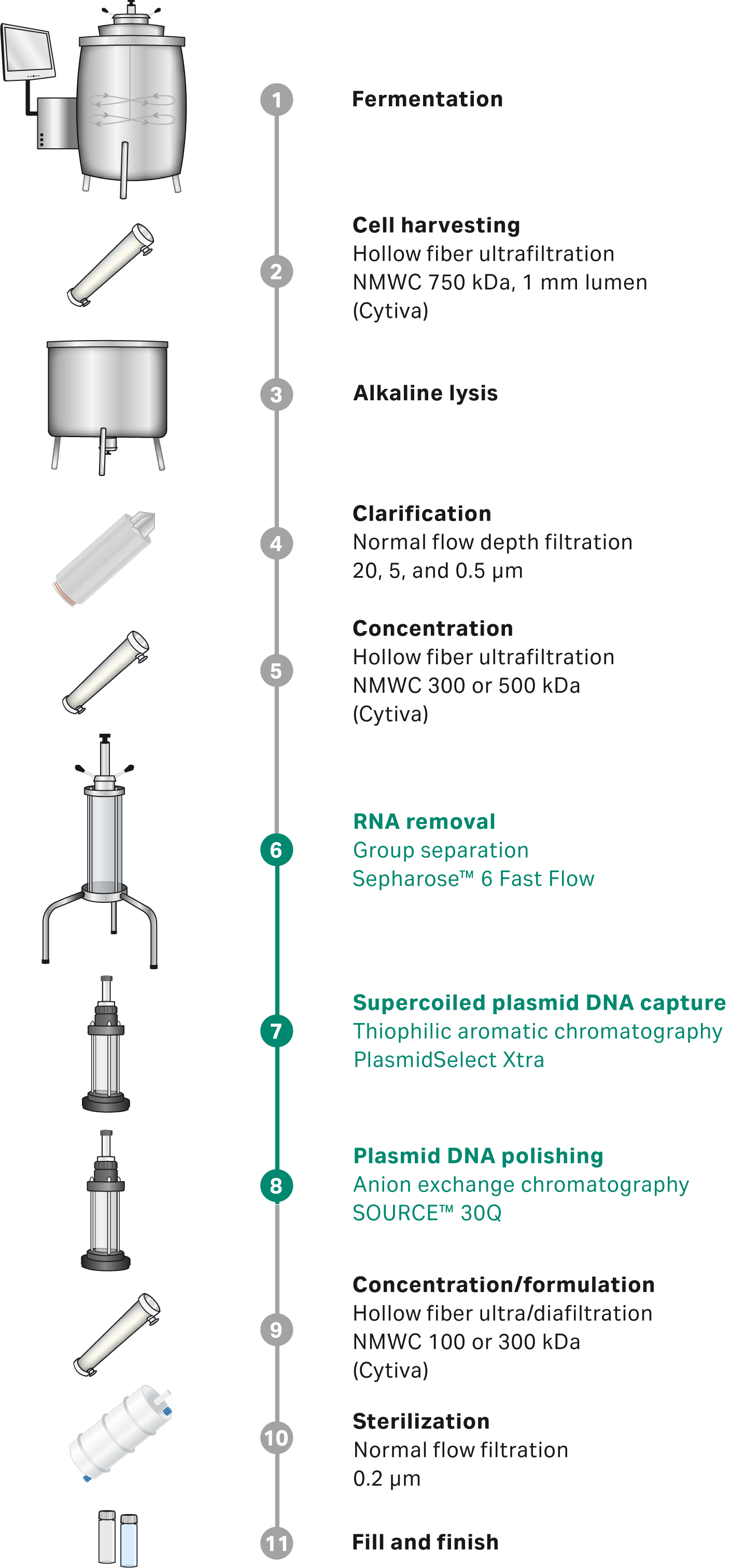 Illustration of scalable, generic process for producing purified supercoiled DNA for gene therapy and DNA vaccination applications