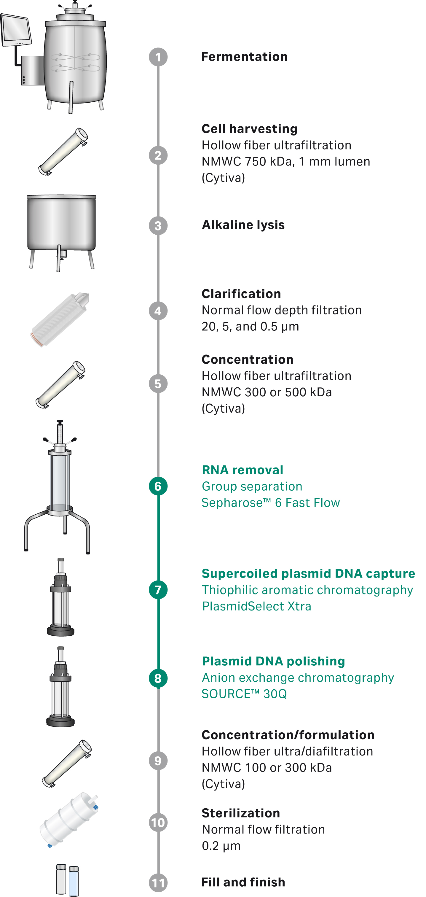 Three Step Supercoiled Plasmid DNA Purification Cytiva