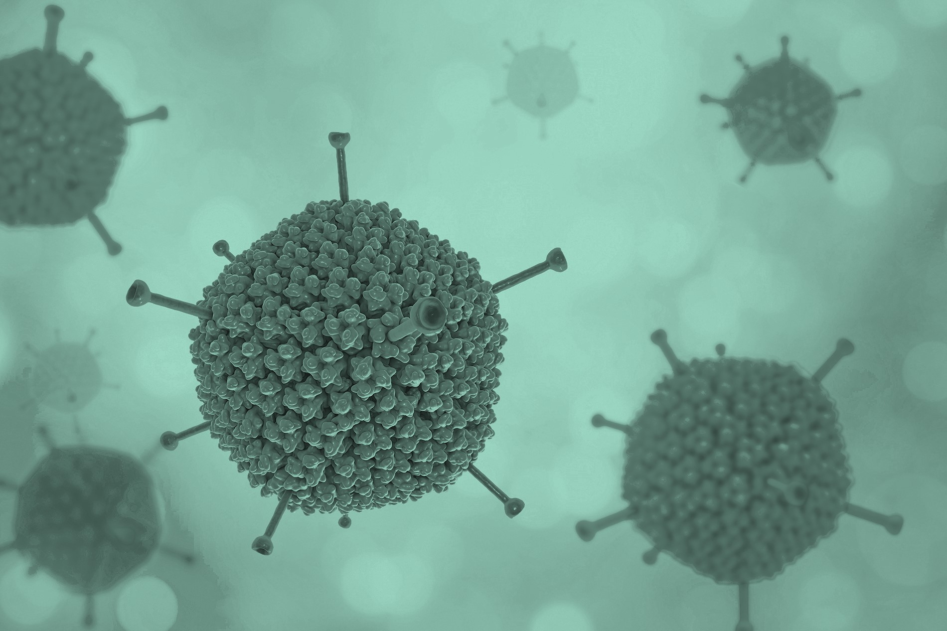 Adenovirus drawing green overlay
