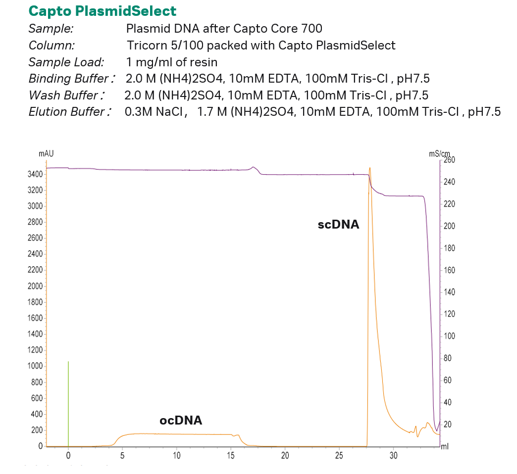 图3  Capto PlasmidSelect层析实验参数与层析图谱