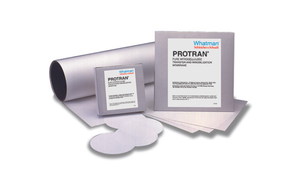 Membranes and absorbents for flow-through assays