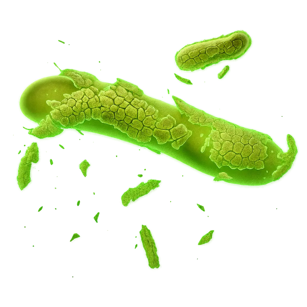 IV in-line filter endotoxin-preventing