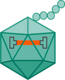 Summary of rAAVs impurities, strategies to control and measure them, and FDA guidelines for their presence in therapeutics