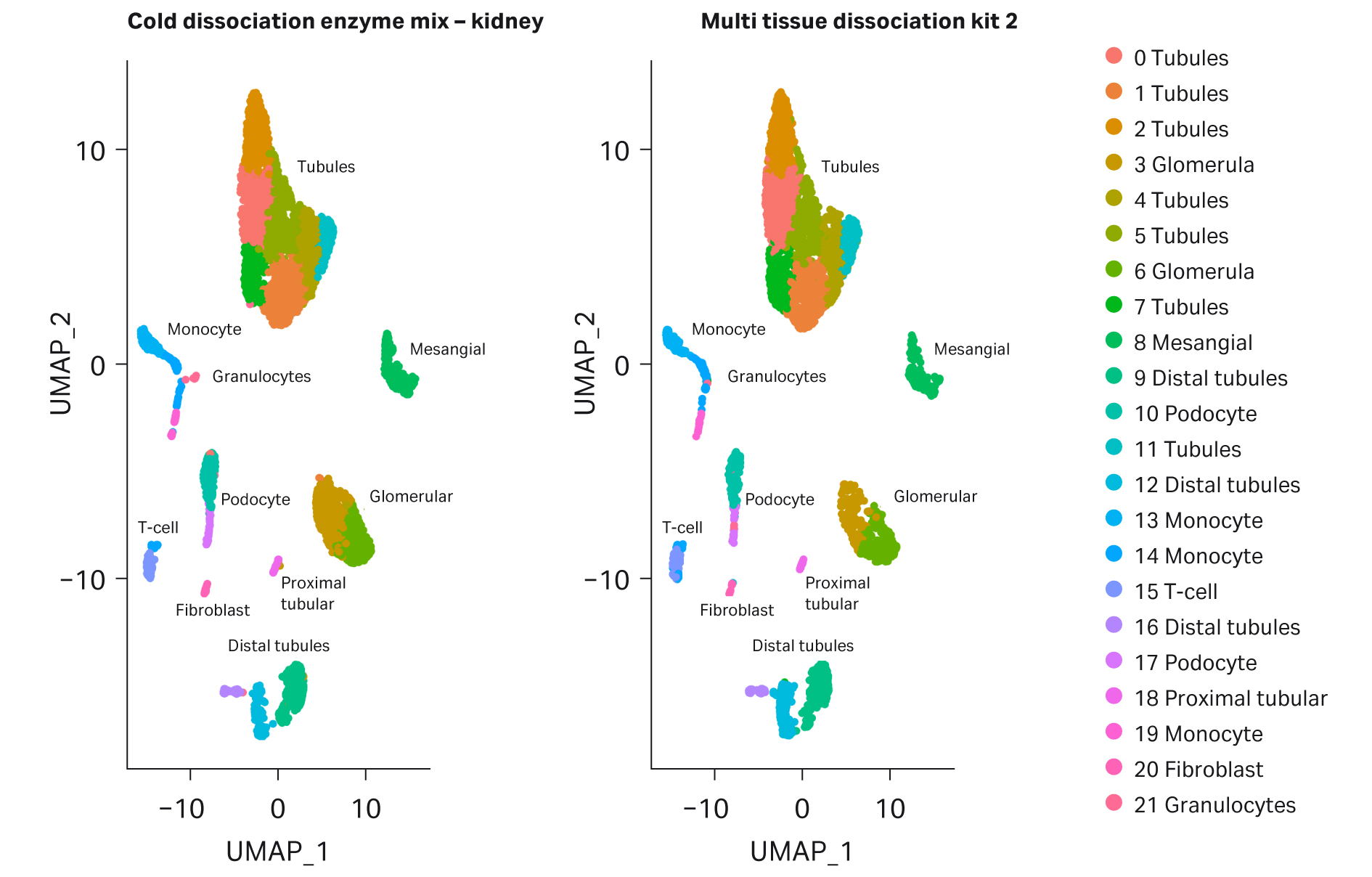 UMAP plots comparing kidney cells dissociated with Cytiva's Cold dissociation enzyme mix – kidney and Miltenyi Biotec's Multi Tissue Dissociation Kit 2