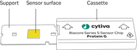 Biacore Series S Sensor Chip Protein G schematic illustration