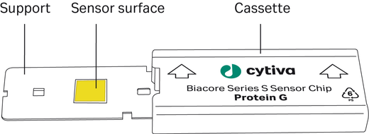 Biacore Series S Sensor Chip Protein G schematic illustration